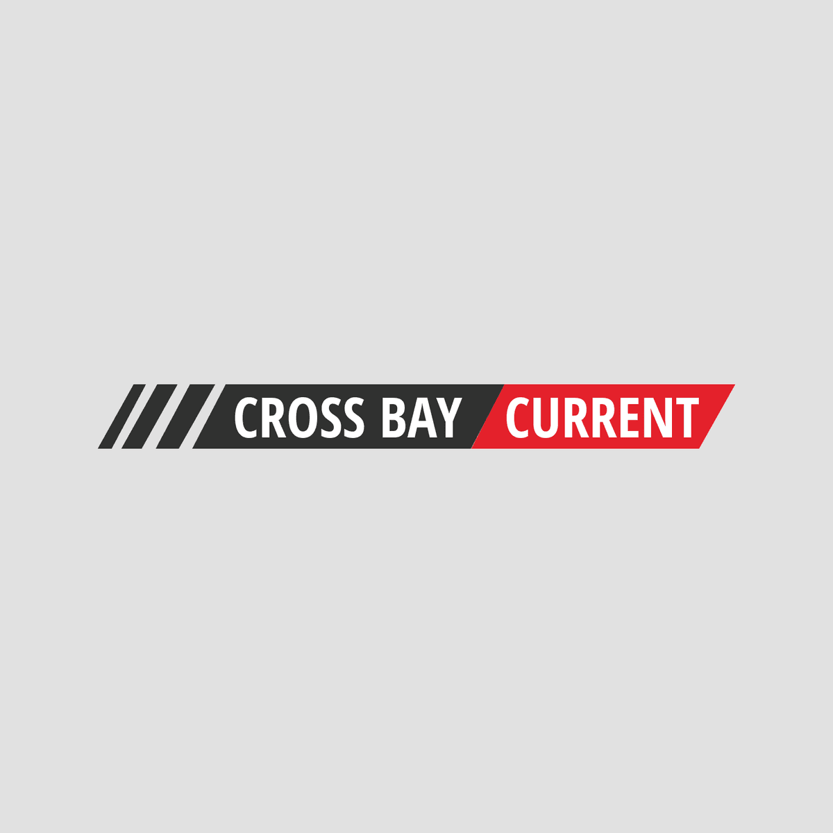 Cross Bay Community Centers Unveil New Career Development and Vocational Training Programs